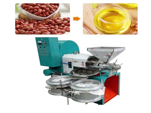 6yl-80 flaxseed oil expeller for sale oil press for sale in Zimbabwe