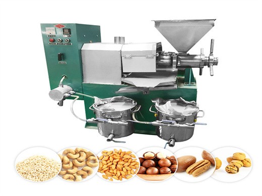 peanut oil press (6yl-95) sesame oil press oil expeller in Indonesia