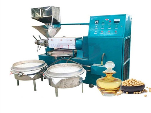 ce hot selling sesame oil cold press machine manufacturer in Uganda