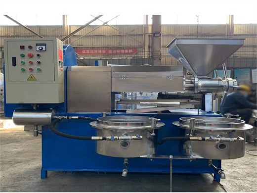 cheap soybean oil machine cold press soybean oil making in Indonesia