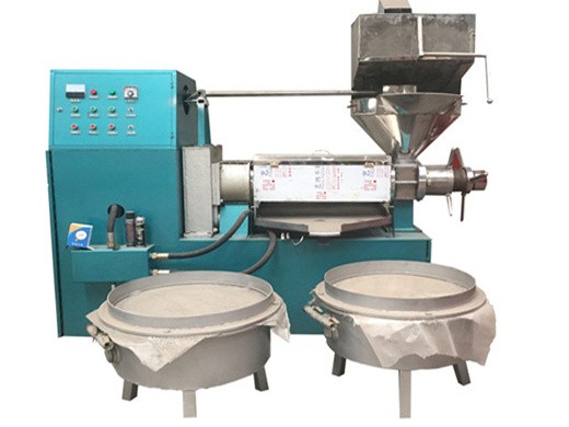 hot selling machine grade soya oil screw expeller made in Ethiopia