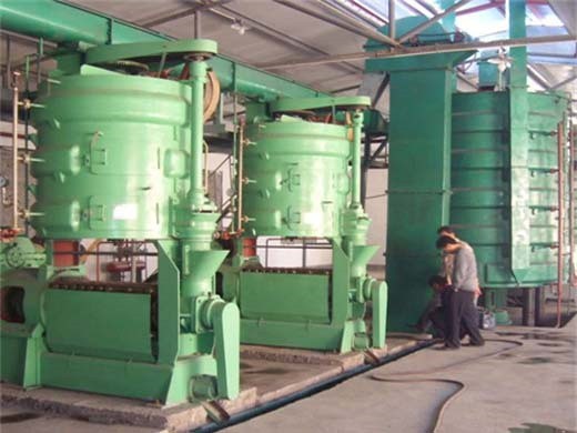 big capacity 800kg/h black seed oil press machine oil in Zimbabwe