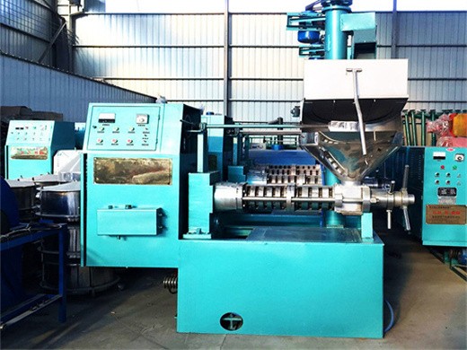 big output cooking oil pressing machine oil press for sale in Zimbabwe