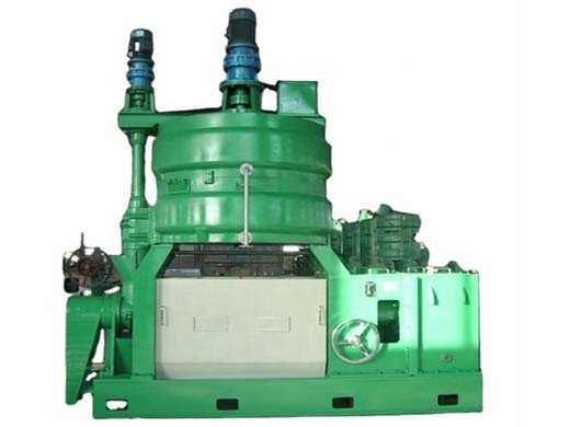 hot sale multi-functional avocado oil extraction machine in Ethiopia