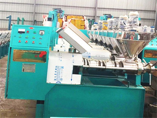 new design rice bran oil press machine with godd price in Zambia