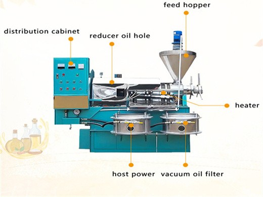 automatic cold press black seed oil press machine dl in Ethiopia