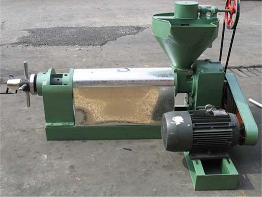 factory direct soybean peanut oil press machine in Tanzania