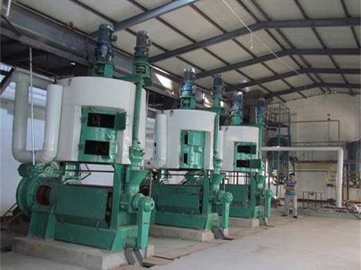 15kg/h rapeseed sesame oil press machine oil making in Uganda