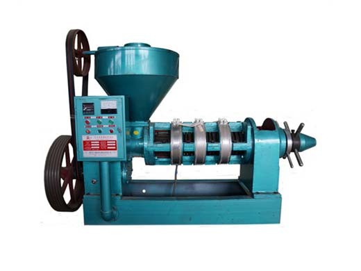 shea nut oil extraction machine in african industrial