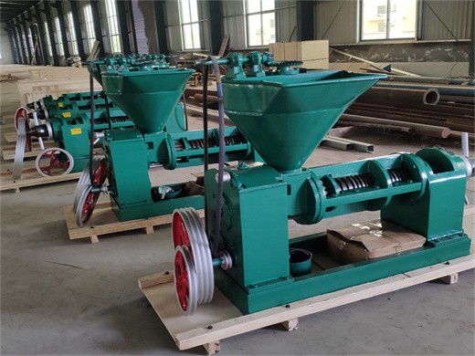 avocado oil making machine/oil press machine in Ethiopia