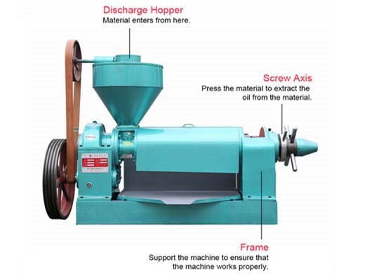 small cooking oil making machine shea nut seeds oil press in Malawi