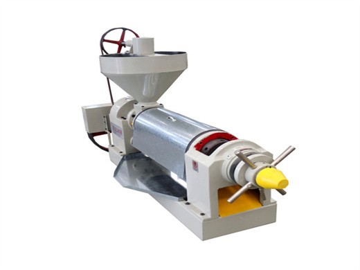 6yy-230 mini-sized vegetable oil machine seed oil in Ethiopia
