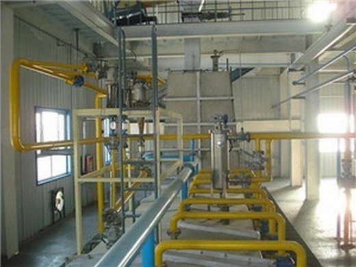 premium soybean decorticating machine oil mill plant in Kenya
