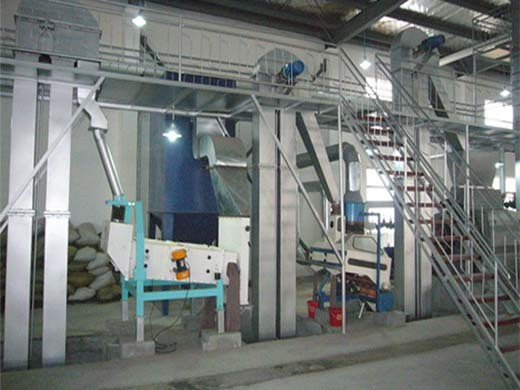automatic rosehip seeds cold oil press machine hot screw in Malawi