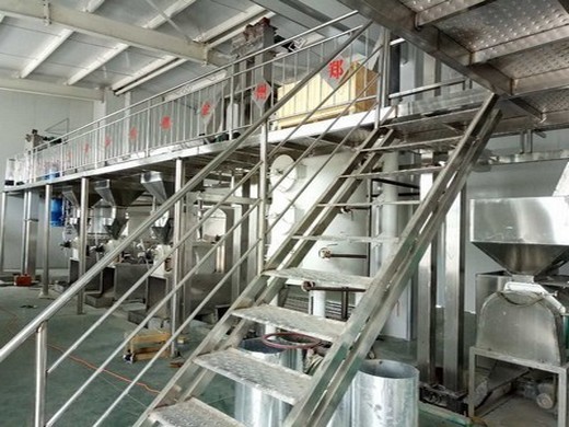 sesame seed oil mill machinery manufacturer in Bangladesh