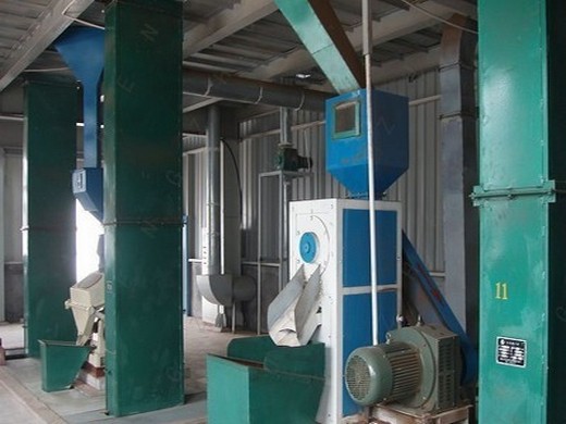 most grape seed oil press plant in ethiopia commercial oil