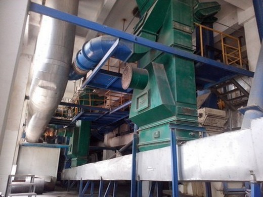 200kg/h output grape seed oil mill for small business in Nigeria