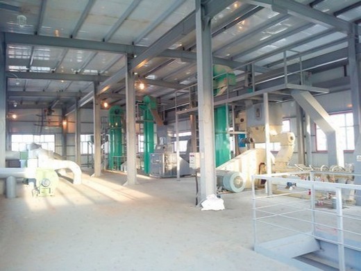 list of rice bran oil extraction plant manufacturers in india