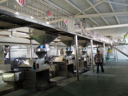 big capacity palm oil milling machine topoilequipment in Ghana