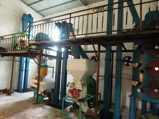 niger seed oil processing build oil mill plant with best in Bangladesh