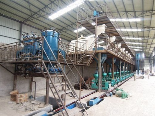 semi-automatic standard coconut oil mill machine for sesame in Bangladesh