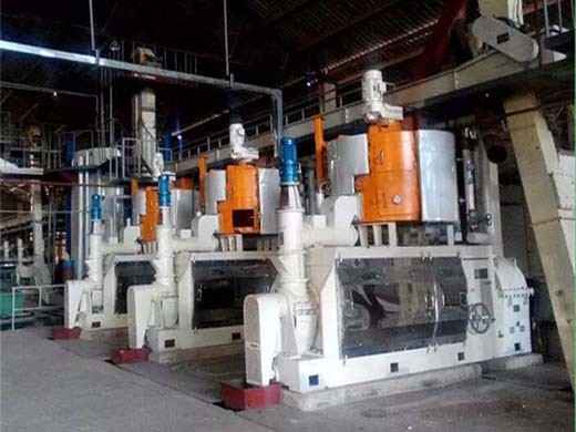 cold press oil seed machine detail and price in Nepal