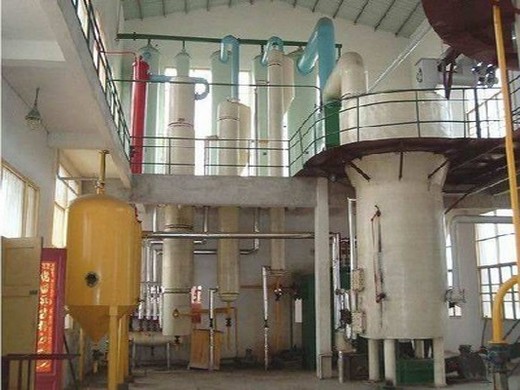 palm oil fractionation plant in cameroon palm oil production line