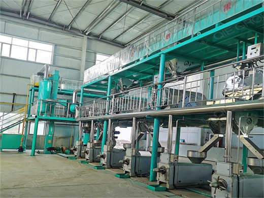 reliable supplier black seed oil press machine in Ethiopia