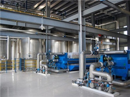 yzy240 oil prepress expeller palm oil mill machine leading in Lesotho