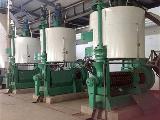 niger new type castor oil seed press machine in nigeria