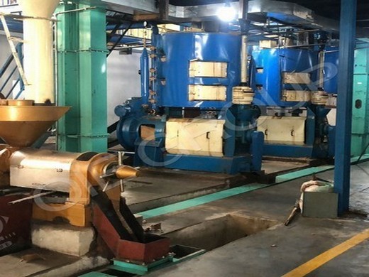 screw soybean oil mill/palm oil press/peanut/sesame oil in Botswana