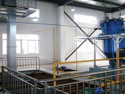 oil press plant high quality soybean oil presser in Lesotho