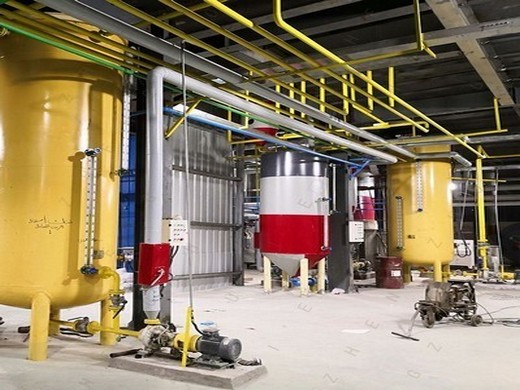 quality assurance 50tpd grape seed oil extraction plant in India