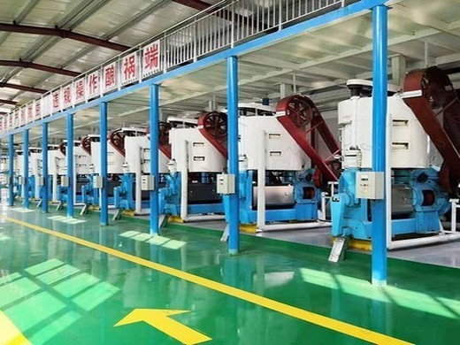olive seed screw oil mill en venta art-de-pierre.eu in Indonesia