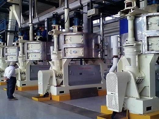 20tpd automatic mustard oil machinery and refinery machine plant in bangladesh