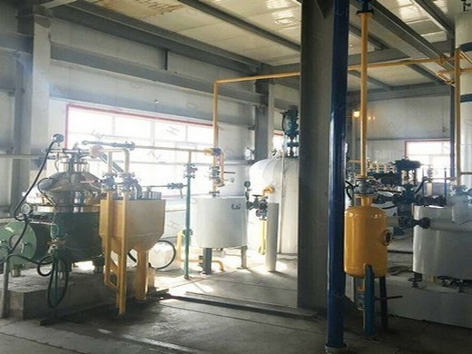 high efficiency peanut oil press machine oil refinery in Zimbabwe