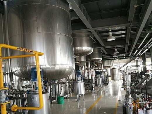 iso 9001 certified palm oil refinery palm fruit processing in Ethiopia
