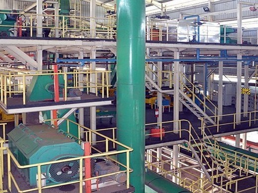 small edible oil refinery plant in South Africa