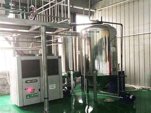 manufacturer price soya oil refinery plant in cameroon