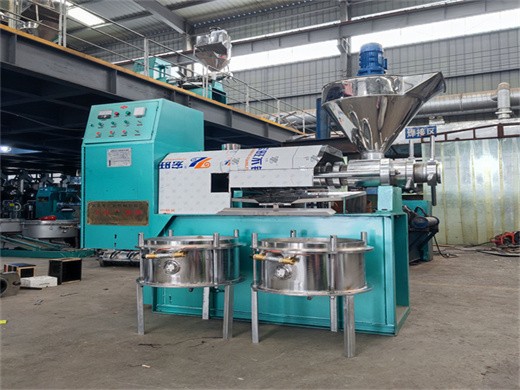 cold press oil machine/olive oil cold press machine in South Africa