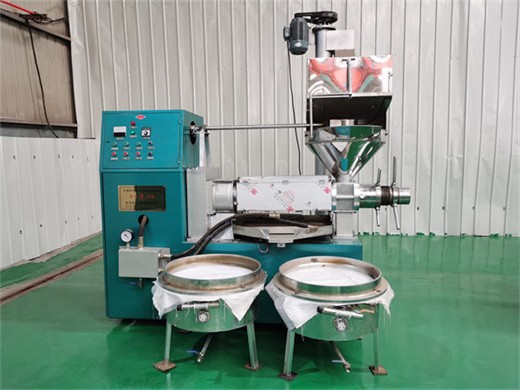 professional technology tea seeds oil extraction machine in Zimbabwe