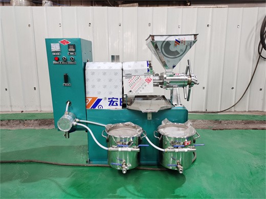 new type automatic small oil press machine small coconut in Sri Lanka