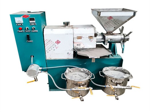 2026 new design excellent mustard seed oil press in Zambia