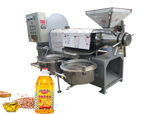 family type stainless steel oil press machine soybean in Malawi