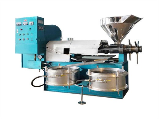 camellia seed oil press machine in Zimbabwe