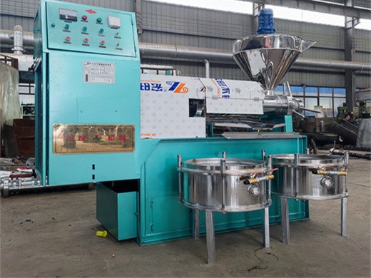 blackseed/canola/soya bean oil solvent extracting machine in Indonesia