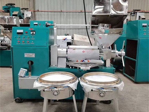 automatic screw oil expeller machine for seeds and nuts in Zimbabwe