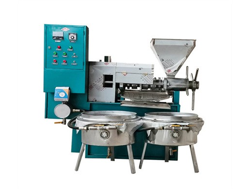 automatic screw oil seed press in south african