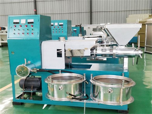 oil press machine walnut oil press machine in Zambia