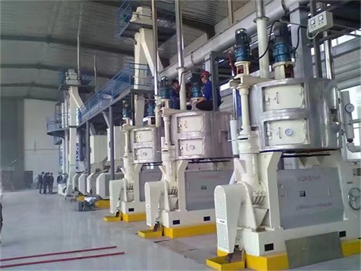 grape seed oil press machine press oil extraction machine in Nigeria